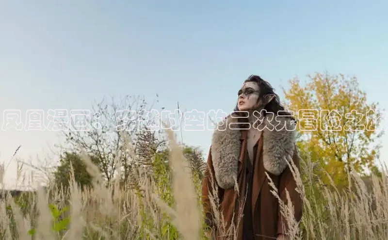 51动漫官网官方进入版本网页在线