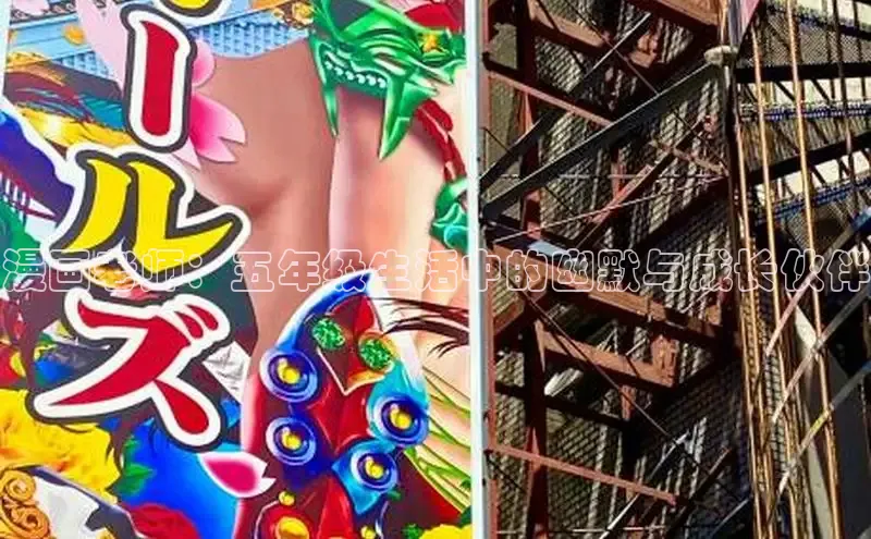 五一动画网页版