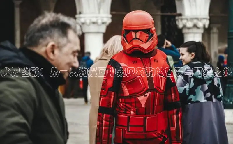 51漫画网官网免费